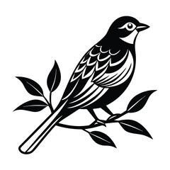 bird on a branch