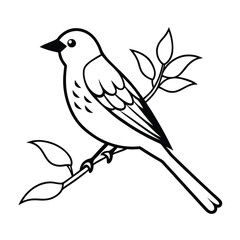 vector illustration of a bird
