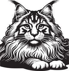 Maine coon cat vector in black and white
