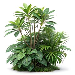 Obraz premium tree on white background