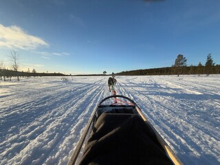 Inari, Helsinki, you can see the Northern Lights and even take a dog sled sleigh ride with Alaskan and Siberian Huskies.