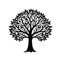 Fototapeta premium Elegant tree with branches and leaves silhouette isolated on white background