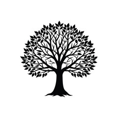 Obraz premium Beautiful tree silhouette isolated on white background
