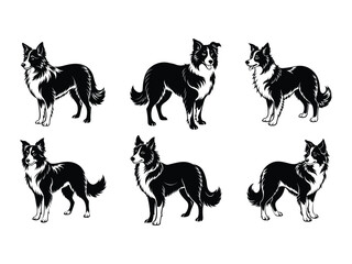 Fototapeta premium Border collie dog breed collection silhouette isolated on white background