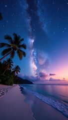 Starry night sky over a tropical beach, panoramic view , coast, sand dune, full moon