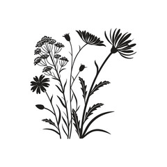 wildflower silhouette vector  set