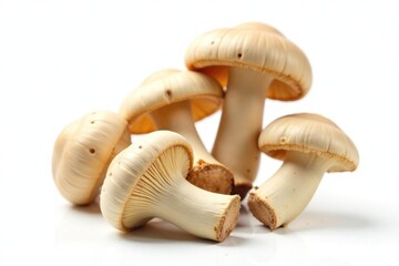 Fototapeta premium Fresh straw mushroom buds isolated on white background, isolation, rustic