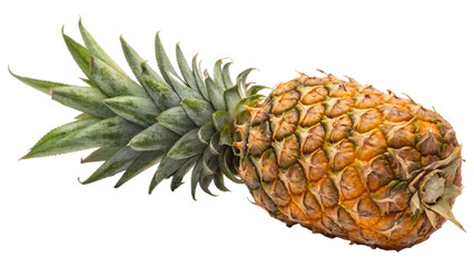 Fototapeta premium Single fresh whole pineapple resting or laid isolated on white background. Suitable for marketing or business purposes. PNG file