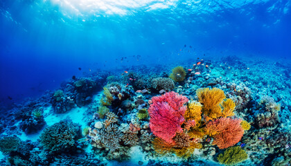 Naklejka premium Underwater Coral Reef: Vibrant coral reef teeming with diverse marine life under the crystal-clear ocean water, reflecting light and life.