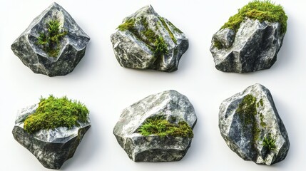 Set of angular geometric stones with creeping moss growing in organic patterns, detailed cross-section showing moss root system gripping rock surface, mix of realistic texture and stylized shapes,