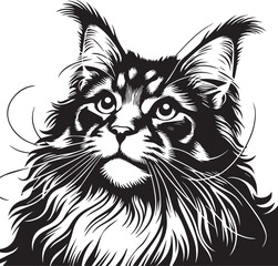 Maine coon cat vector in black and white