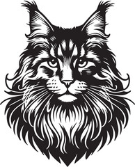 Maine coon cat vector in black and white