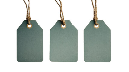 Three blank, muted green gift tags hang from twine against a black background.  Perfect for adding your own personalized message.
