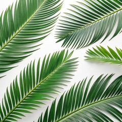 Obraz premium Tropical Palm Leaf Flatlay Composition of Five Green Fronds on White, Palm Leaf Design, Summer Vibe Keywords Tropical,Summer