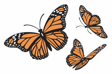 Monarch butterflies set. Vector illustration isolated on white background