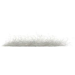 Beautiful shape of grass isolated on transparent Canvas