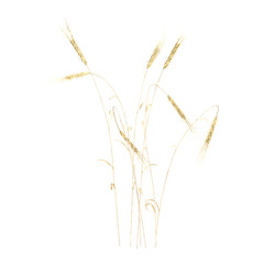 Obraz premium collection of Wild Field Grass with realistic style