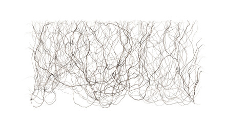 Wall mounted dead creepers cut out transparency backgrounds  for illustration, digital composition and architecture visualization