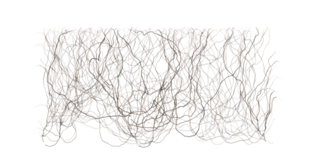 Wall mounted dead creepers cut out transparency backgrounds  for illustration, digital composition and architecture visualization