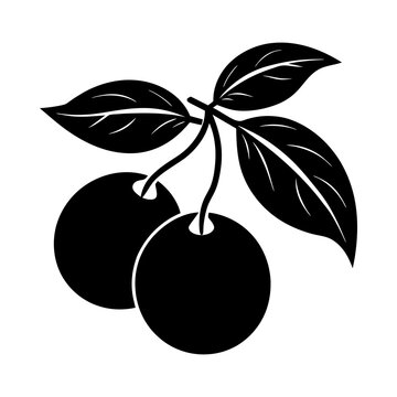 black cherries with leaves on white clip art preview