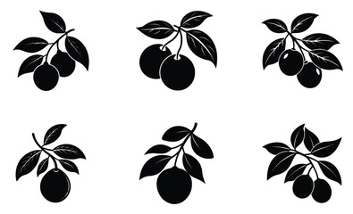 Obraz premium Kumquat silhouette vector