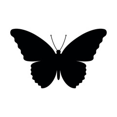Butterfly cute silhouette simple vector illustration isolated design.