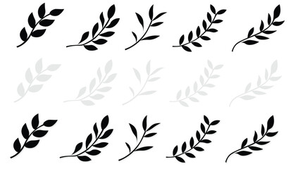 Elegant Black and White Leaf Branches
