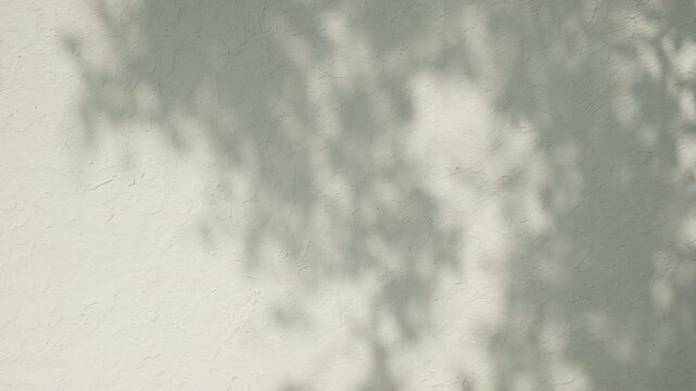 Shadow pattern of tree branches with leaves on textured white wall from sunlight.
