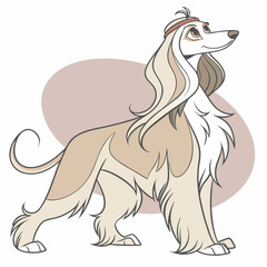 Afghan Hound Dog Vector