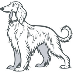 Afghan Hound Dog Vector