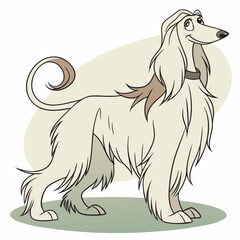 Afghan Hound Dog Vector