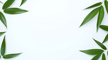 Obraz premium Green Leaves Frame on White Background
