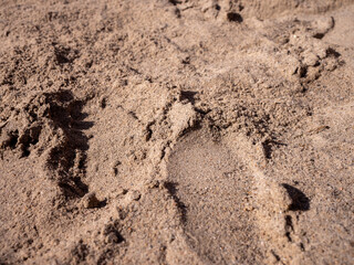 A close-up of the sandbox of a sandy playground with visible marks and prints from children's games. 