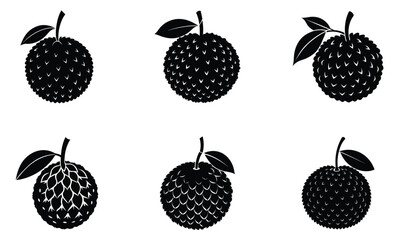 Lychee silhouette vector