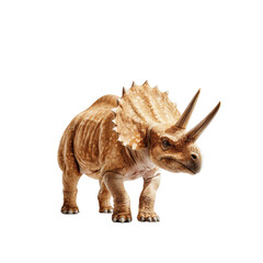 Witness the awe-inspiring presence of a magnificent triceratops, a symbol of strength and resilience, standing in vivid detail against an elusive backdrop that captures imagination.