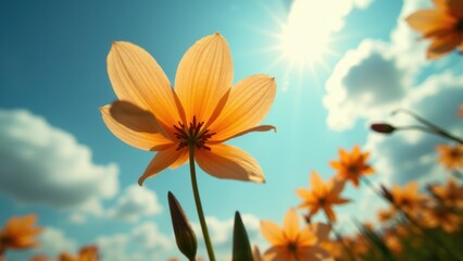 Obraz premium A vibrant orange flower blooms under a bright sky, with the sun shining and clouds in the background, capturing the beauty of nature.