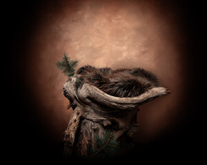 Wooden stump with fur on brown fine art backdrop as digital background or backdrop for newborn baby child or pet composite photography for woodsy camping or hunting forest theme