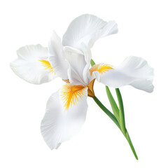 Fototapeta premium Iris Germanica Flower Bloom on transparent background.