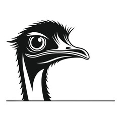 head of an ostrich