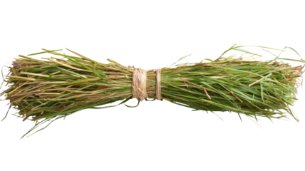 Bundle of freshly cut grass tied with string on transparent background