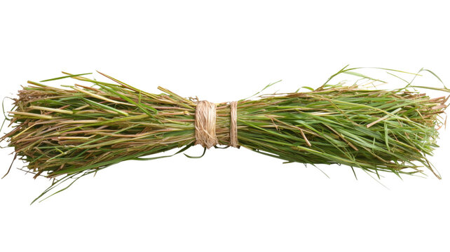 Bundle of freshly cut grass tied with string on transparent background