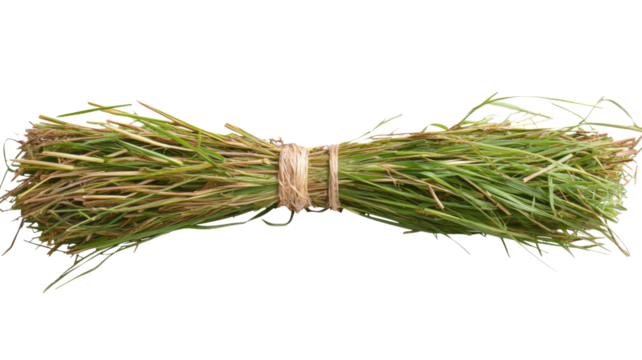 Bundle of freshly cut grass tied with string on transparent background