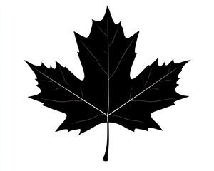 Black Maple Leaf Silhouette, Autumn Design Element
