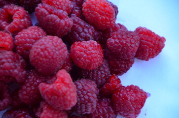 Raspberry. Sweet red raspberries. Juicy raspberries on the table. Fresh Raspberries. Rubus idaeus....