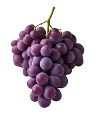 Fototapeta premium 一房のおいしそうなブドウ（JPEG/PNG)