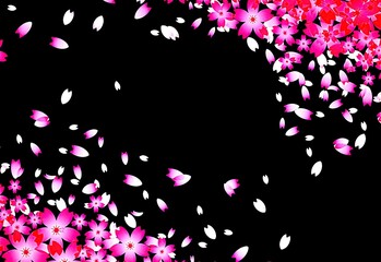 Sakura petals texture background