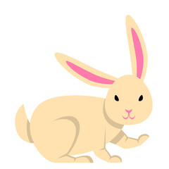 Cute Cartoon Rabbit Illustration
