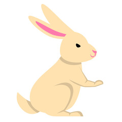 Cute Cartoon Rabbit Illustration
