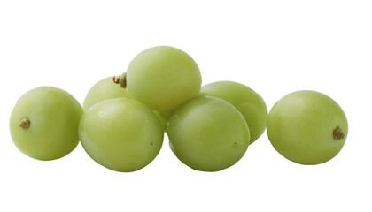 Obraz premium マスカット