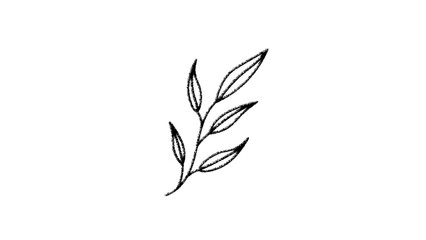 Leaves on a stem. Handrawn leaves on stem in black and white